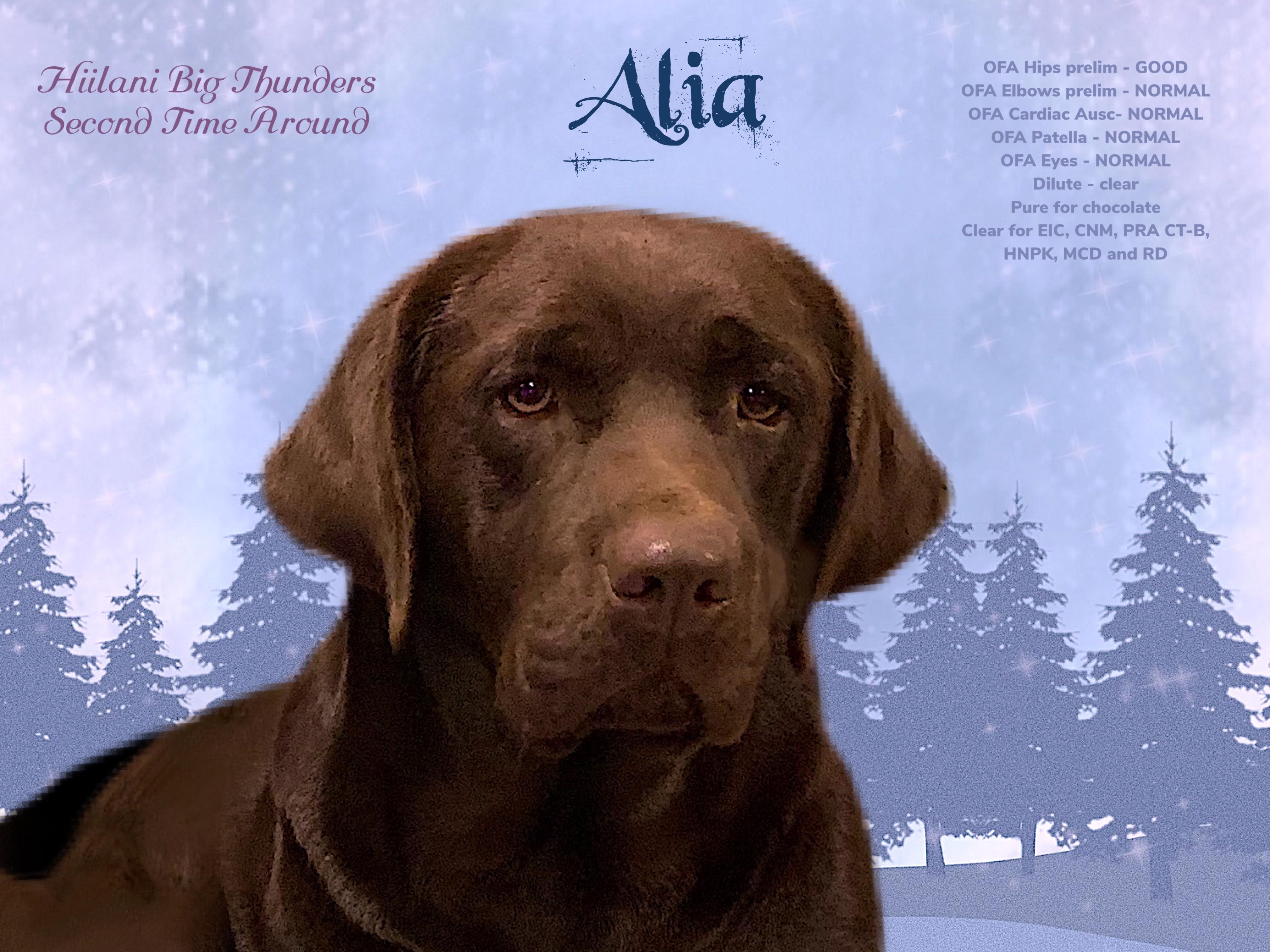 Alia