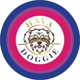 Girl - Chocolate female Havanese puppy in Arizona from HavaDoggie