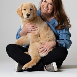 Golden Retriever Puppies from GameChanger Golden Retrievers