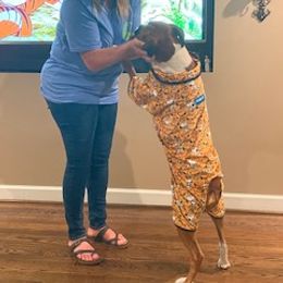 Boxer All Grown Up from Magen's Boxers