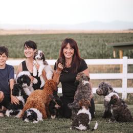 Bernedoodle, Goldendoodle, and Poodle Puppies from Northwest Pups