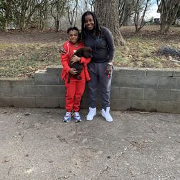 Labrador Retriever Puppies from Sweetwater Labrador Retrievers