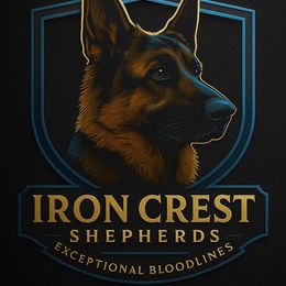 German Shepherds from Iron Crest Shepherds