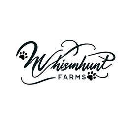 Sold - White and blue merle male Border Collie puppy in Nashville, Arkansas from Whisenhunt Farms
