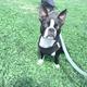 Waylon