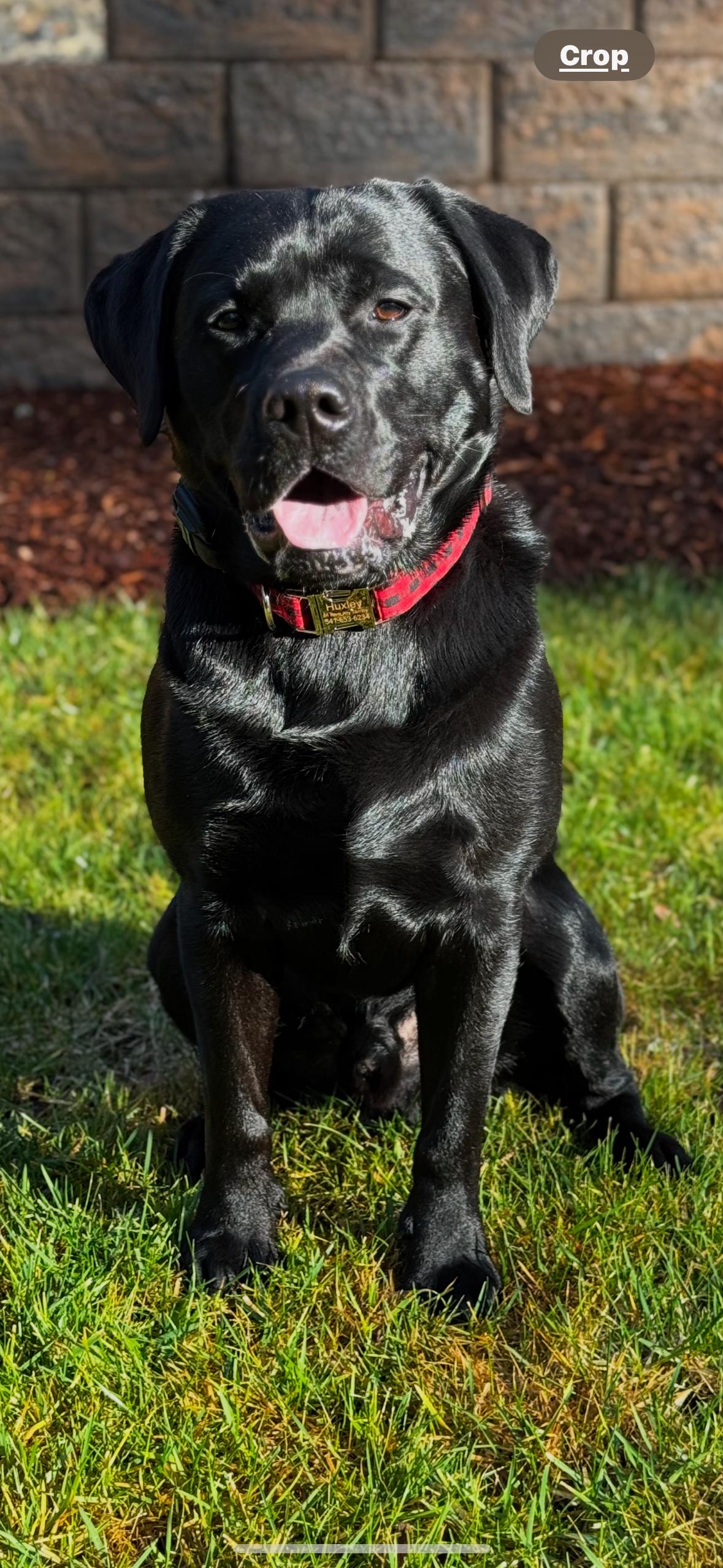 Huxley