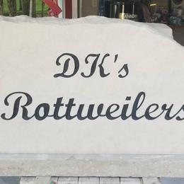 Rottweilers from DK's Rottweilers