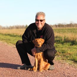 Golden Retriever Puppies from Mountain View Farms - World Class Golden Retrievers