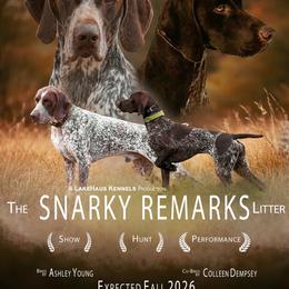 German Shorthaired Pointer puppies from LakeHaus Kennels