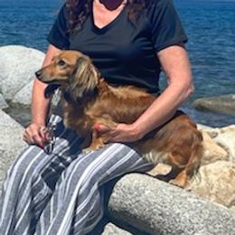 Summer - Dachshund