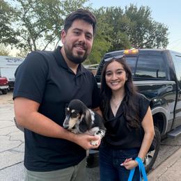 Travis Villalobos - Piebald male Dachshund puppy in Irving, Texas from DFW Dachshunds by G & S