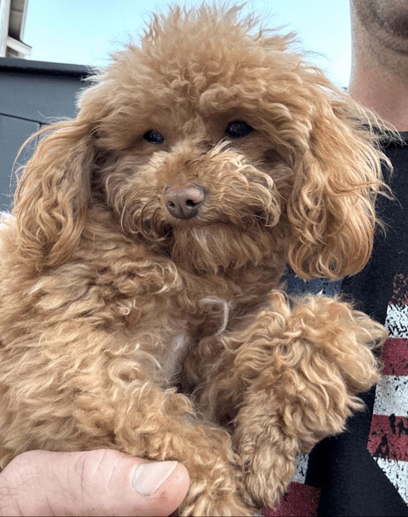 Charlie