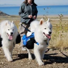 Samoyeds from Double Helix Samoyeds