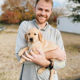 Golden Retriever Puppies from Gillit Family Goldens of NTX