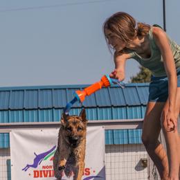 German Shepherds from SeaJay Shepherds