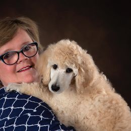 Poodle Puppies from Ocala Standard Poodles