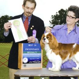 Cavalier King Charles Spaniel All Grown Up from Wellsworth CKCS