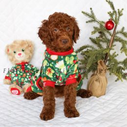 Holly (Fuchsia Collar) - Goldendoodle puppy from Fluffy Puppy Mini Doodles LLC