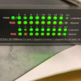 Australian Shepherd Puppies from Triple S Aussies