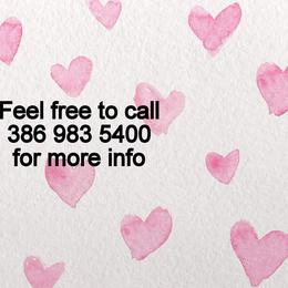 Maltese from Boshi Maltese