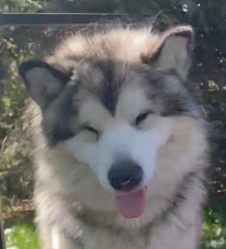 Vajra