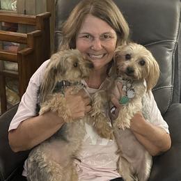 Shorkie All Grown Up from Roover's Oklahoma Shorkies
