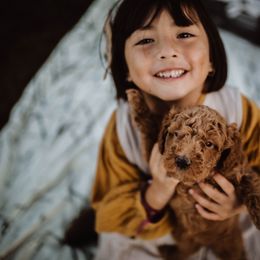 Aussiedoodle and Bernedoodle Puppies from High Desert Doodles