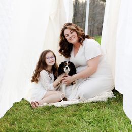 Cookie - Cavalier King Charles Spaniel