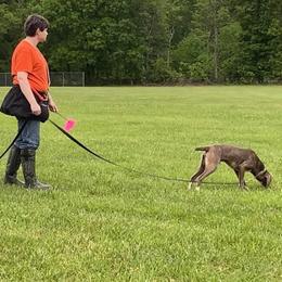 Mountain Cur Puppies from Walnut Ridge Mountain Curs