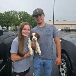 Lilac collar Girl - Tri-Roan female English Springer Spaniel puppy in Henagar, Alabama from Windy Oak Kennels