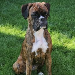 Boxers from Dunaway Boxers