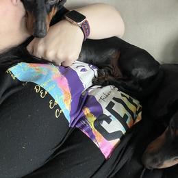 Dachshund Puppies from Phillian Family Mini Dachshunds