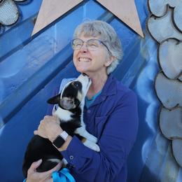 AKC - Quad Clear Tri Colored - Boy 2 - Black and white male Cardigan Welsh Corgi puppy in Tombstone, Arizona from WeVolution Off-Grid