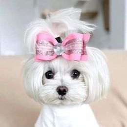 Maltese and Yorkshire Terriers from TLC Kennels TenderLittleCuties