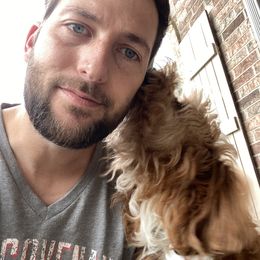 Goldendoodle Puppies from Halo Doodles