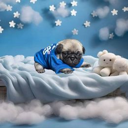 Ozzy - Fawn male Pug puppy in Winter Haven, Florida from Precious Paws