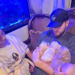 Boy 2 - Apricot male Maltipoo puppy in Washington from Mt.BakerPoodles&Doodles