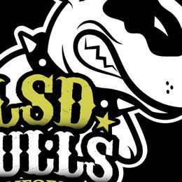 Bull Terriers from LSDBULLS