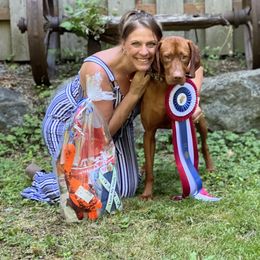 Vizsla All Grown Up from Coast Range Vizslas