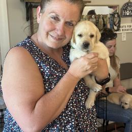 Labrador Retriever Puppies from Labs of Woodhaven