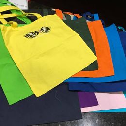 Great Dane All Grown Up from Pegasus Great Danes