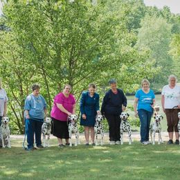 Dalmatians from Prestige Dalmatians