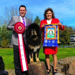 Tibetan Mastiffs from Aujudon Tibetan Mastiffs