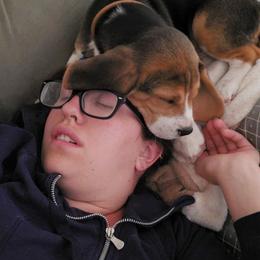 Beagle Puppies from Roylcrest Beagles
