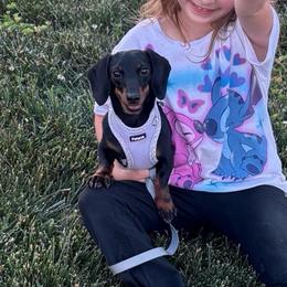 Smokey - Dachshund