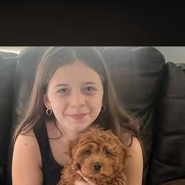 Cavapoo, Cockapoo, Cocker Spaniel, Goldendoodle, and Golden Retriever Puppies from Hunting Creek Farm & Kennel