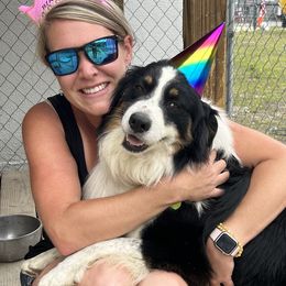 Australian Shepherds from A Triple C Kennel