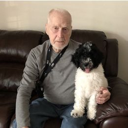 Goldendoodle Puppies from Labradoodleday