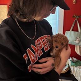 Cockapoo, Double Doodle, Goldendoodle, Poodle, and Shihpoo Puppies from Peace, Love, and Puppies at the Creek