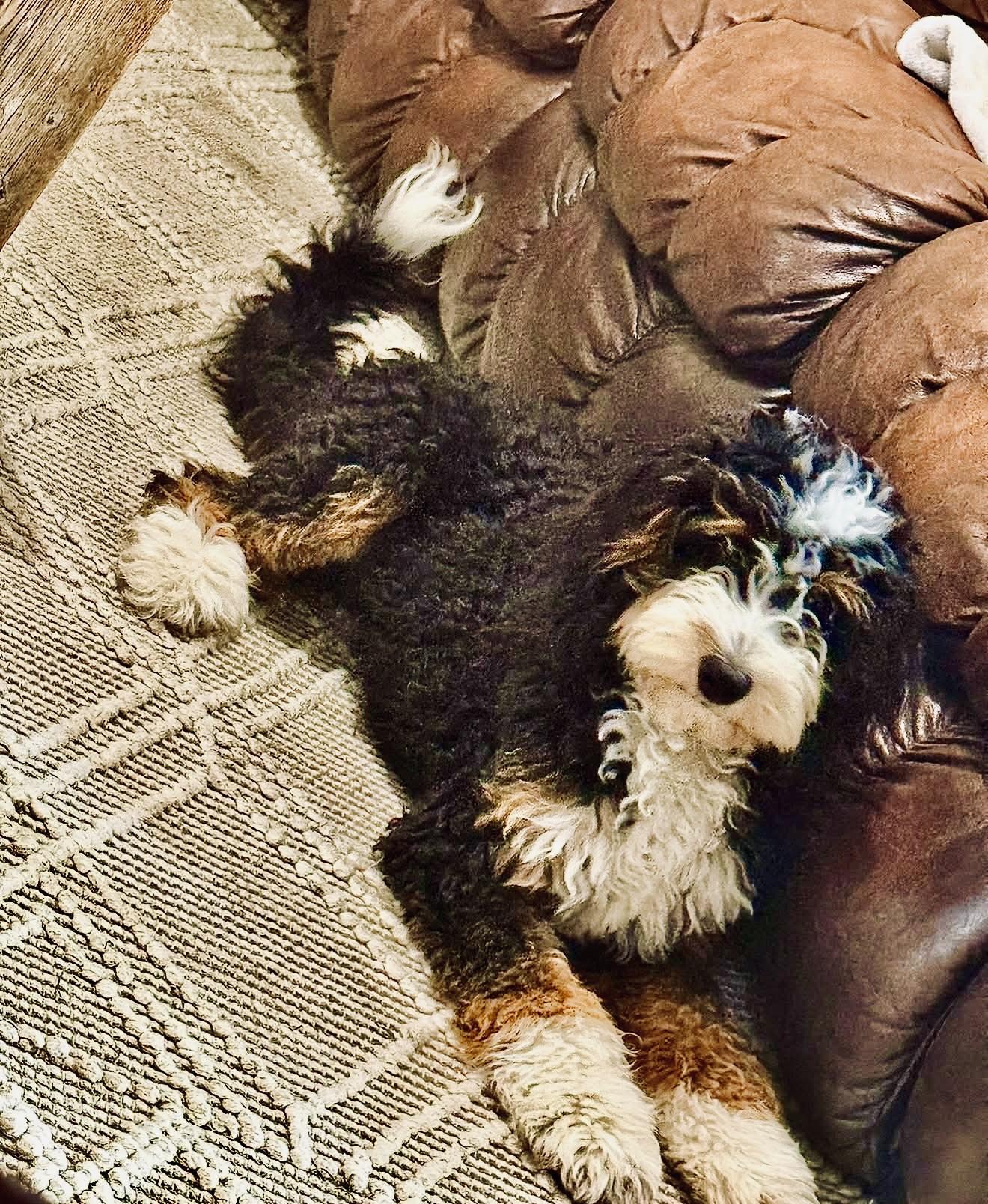 Winnie